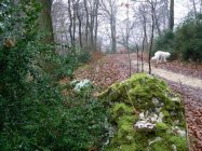 für grössere Ansicht klicken