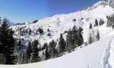 für grössere Ansicht klicken