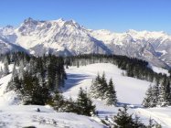 für grössere Ansicht klicken