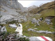 für grössere Ansicht klicken