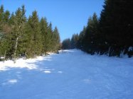 für grössere Ansicht klicken