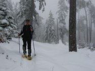 für grössere Ansicht klicken
