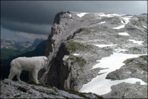 für grössere Ansicht klicken