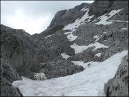 für grössere Ansicht klicken
