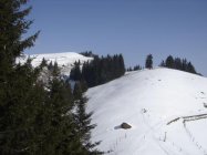 für grössere Ansicht klicken
