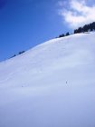 für grössere Ansicht klicken