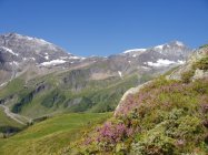 für grössere Ansicht klicken
