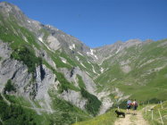 für grössere Ansicht klicken