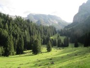 für grössere Ansicht klicken