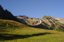 für grössere Ansicht klicken