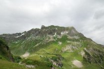 für grössere Ansicht klicken
