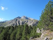 für grössere Ansicht klicken