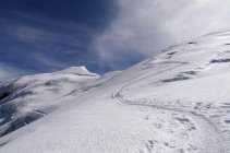 für grössere Ansicht klicken
