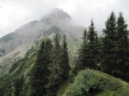 für grössere Ansicht klicken