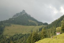 für grössere Ansicht klicken