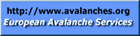 avalanches.org
